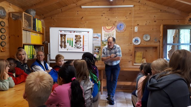 Bienen19-1