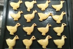 Martinsgänse Martinsgänse